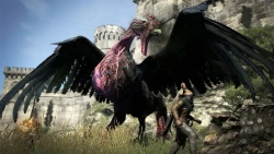 Скриншот к игре Dragon's Dogma