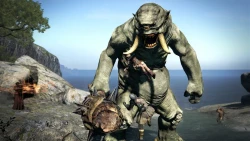 Скриншот к игре Dragon's Dogma