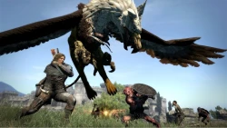 Скриншот к игре Dragon's Dogma