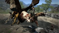 Скриншот к игре Dragon's Dogma