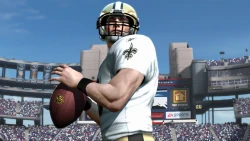 Скриншот к игре Madden NFL 11