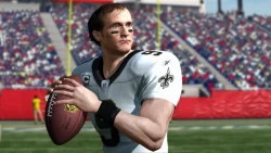 Скриншот к игре Madden NFL 11