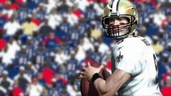 Скриншот к игре Madden NFL 11