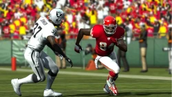 Скриншот к игре Madden NFL 11