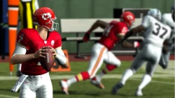 Скриншот к игре Madden NFL 11