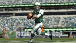 Скриншот к игре Madden NFL 11