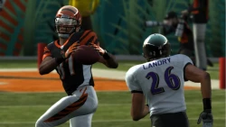 Скриншот к игре Madden NFL 11