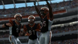 Скриншот к игре Madden NFL 11