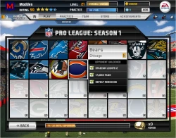 Скриншот к игре Madden NFL 11