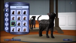 Скриншот к игре The Sims 3: Pets