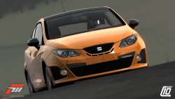 Скриншот к игре Forza Motorsport 3