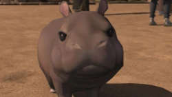  The Moo Deng frenzy is officially in Final Fantasy 14. It seems to have caused the price of its adorable hippo minon to skyrocket.