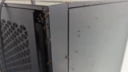  My day has been ruined because a redditor's computer was infested with '50-100' baby spiders.