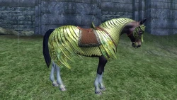  Skyrim's lead says Bethesda has been shocked by the furious response to Oblivion's Horse Armour DLC. But it still sold'millions of copies': 'You all make fun of it, yet you buy it.'