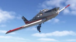  Microsoft Flight Simulator 2020 is more buggy than Stalker 2.