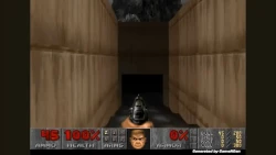  It's pretty trippy. A neural network is generating frames by frame by 'playing Doom'.